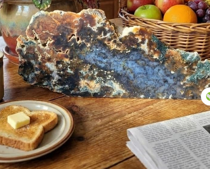 Detalhes dos desenhos naturais da Ágata Musgo lembrando vegetação e paisagens minerais